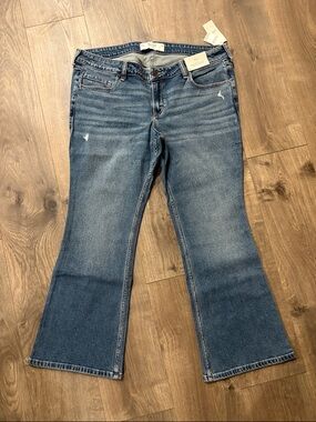 Hollister Women's Medium Blue Flare Jeans